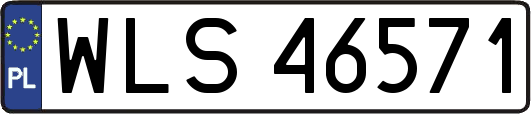 WLS46571