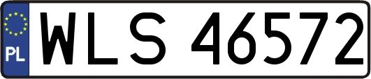 WLS46572