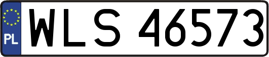 WLS46573
