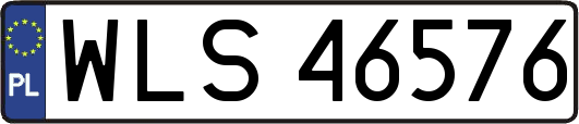 WLS46576