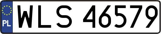WLS46579