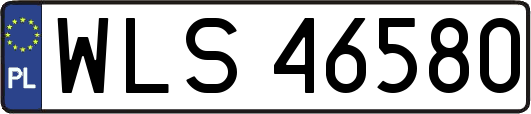WLS46580