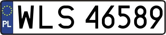 WLS46589
