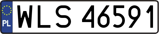 WLS46591