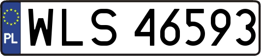 WLS46593