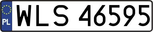 WLS46595