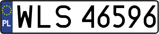 WLS46596