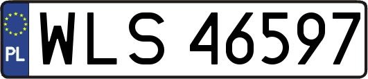 WLS46597