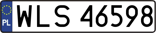 WLS46598