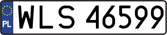 WLS46599