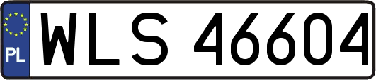 WLS46604