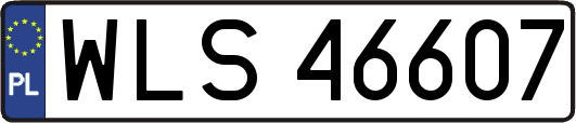 WLS46607