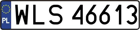 WLS46613