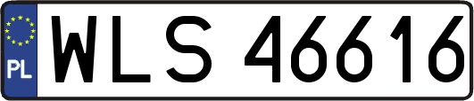 WLS46616