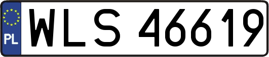 WLS46619
