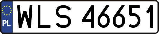 WLS46651