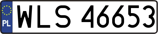 WLS46653