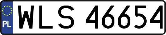 WLS46654