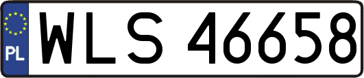 WLS46658