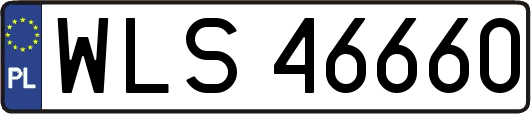 WLS46660