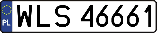WLS46661