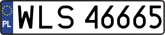 WLS46665