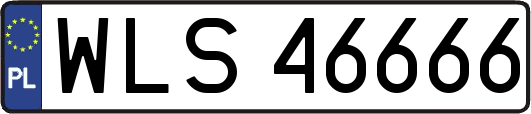 WLS46666