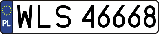 WLS46668