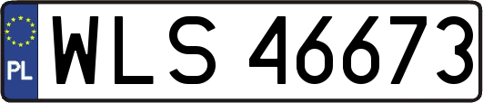 WLS46673