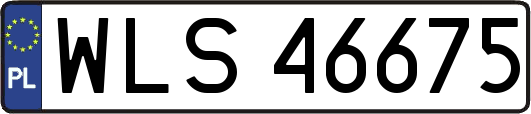 WLS46675