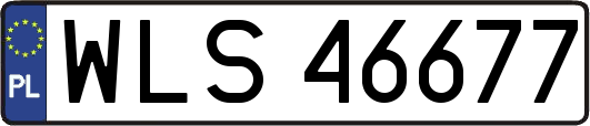 WLS46677