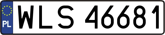 WLS46681