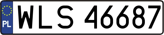 WLS46687