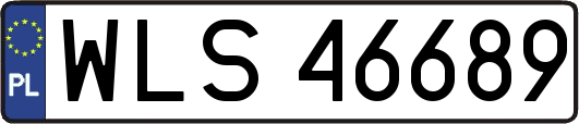 WLS46689