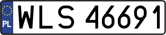 WLS46691