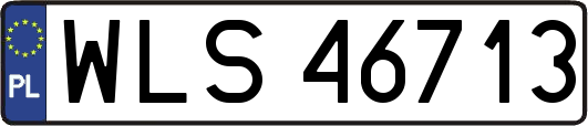 WLS46713