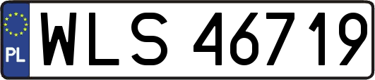 WLS46719
