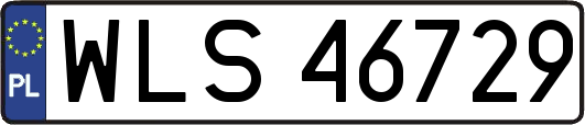 WLS46729