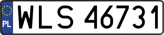 WLS46731