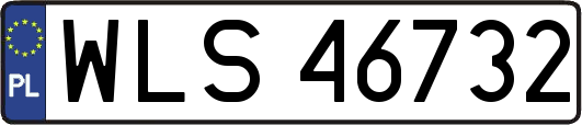 WLS46732