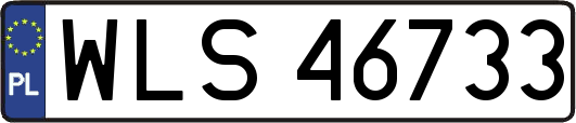 WLS46733