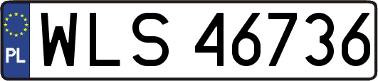 WLS46736