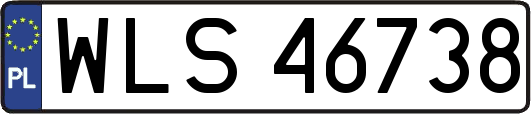 WLS46738