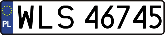 WLS46745
