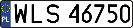 WLS46750