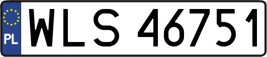 WLS46751
