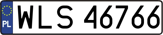 WLS46766