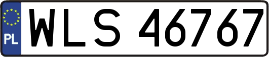 WLS46767