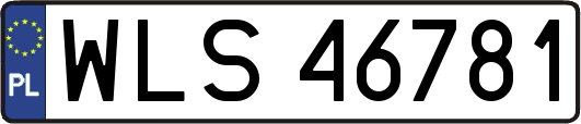 WLS46781