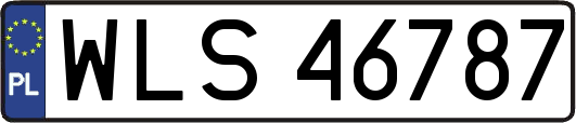 WLS46787